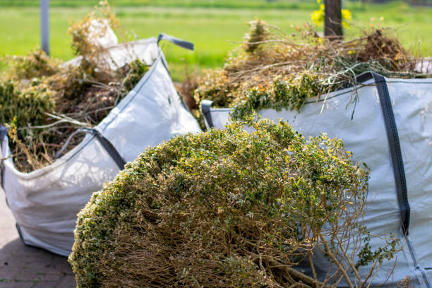 Best Electronics Removal Services  in Holly Springs, NC