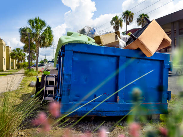 Best Furniture Removal Near Me  in Holly Springs, NC